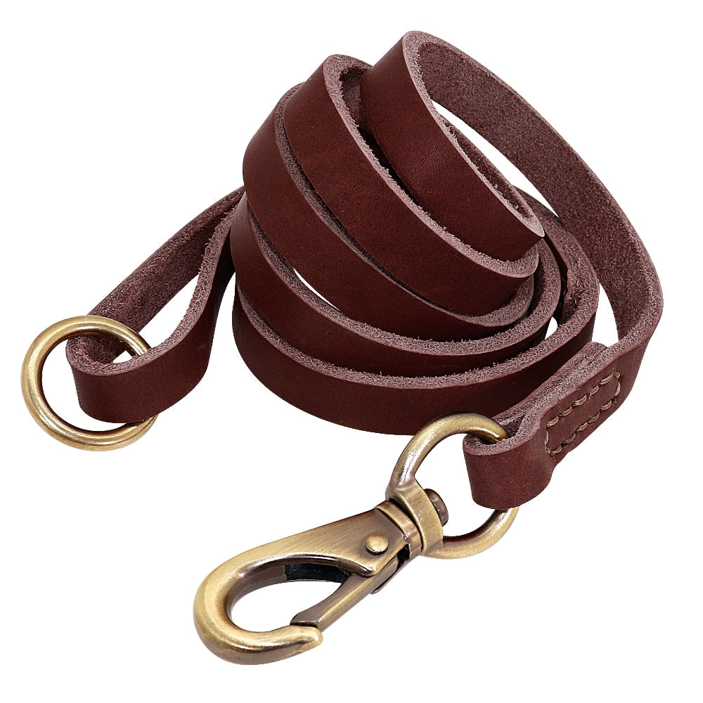 hochwertiges Lederhalsband für alle Hunderassen