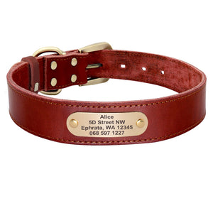 hochwertiges Lederhalsband für alle Hunderassen