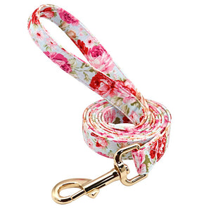 Personalisiertes Halsband Gravur Leine Name Telefonnummer Beuteltasche