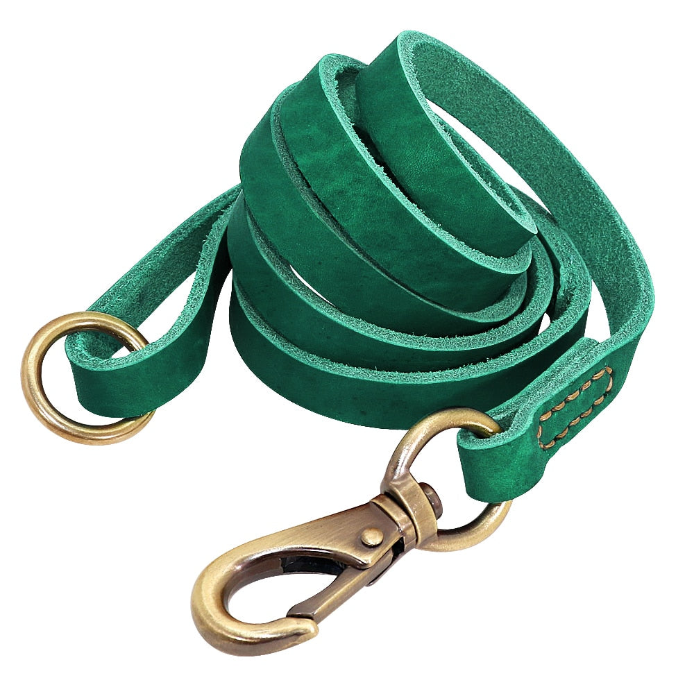 hochwertiges Lederhalsband für alle Hunderassen