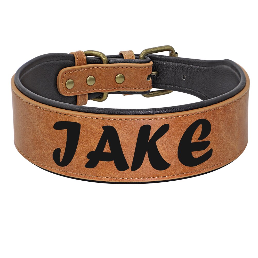 breites Halsband für Hunde