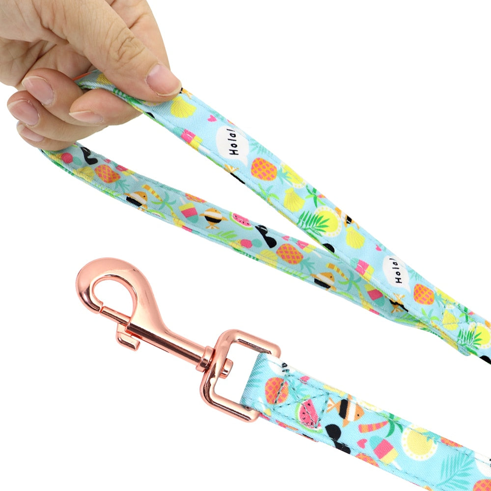personalisiertes Hundegeschirr Halsband Set