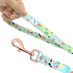 personalisiertes Hundegeschirr Halsband Set