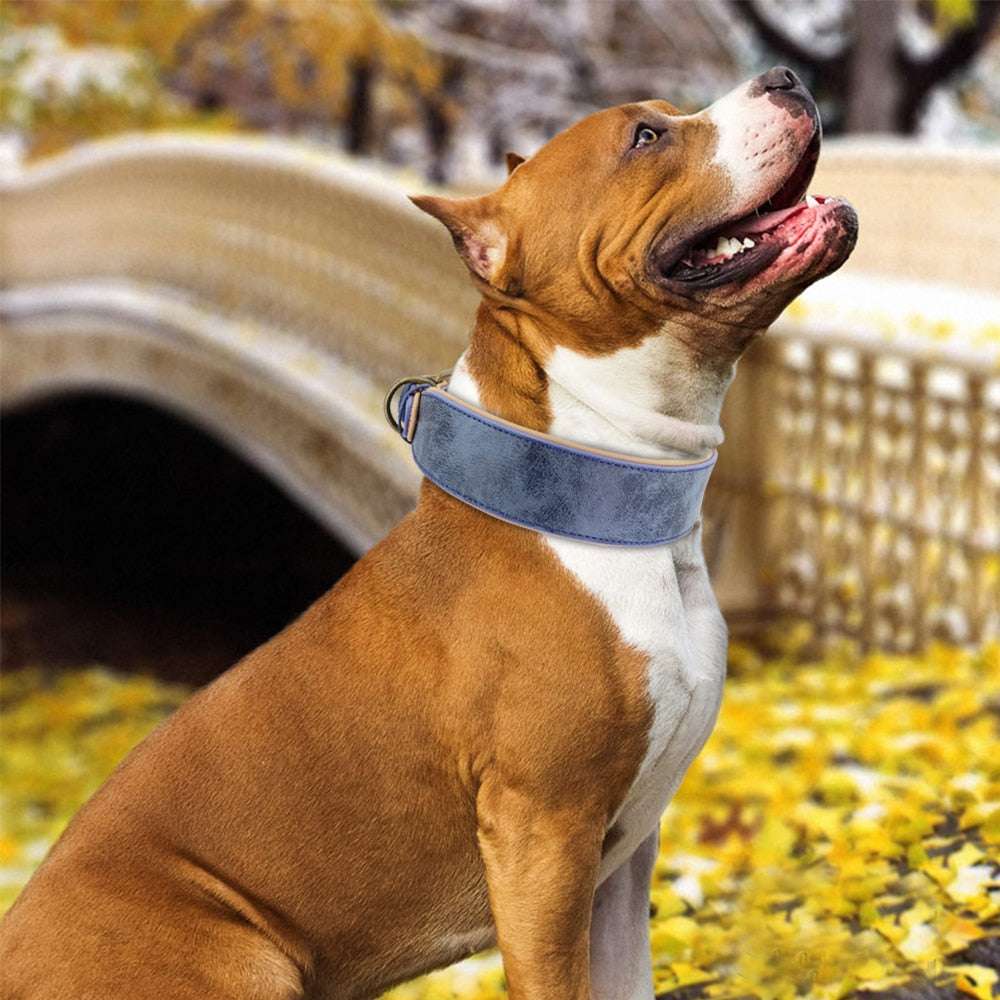weites Halsband für Windhunde große Kräftige Hunde