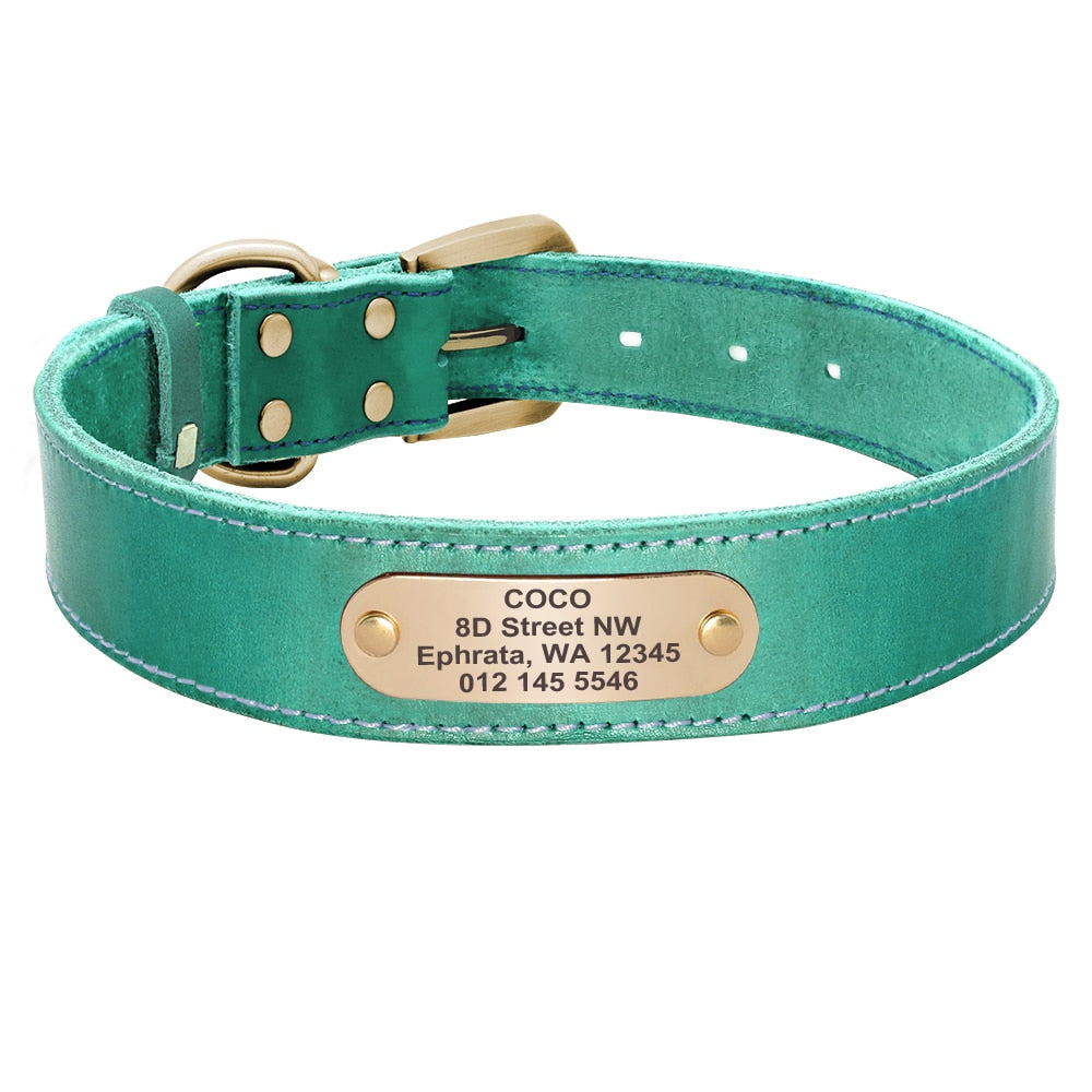 hochwertiges Lederhalsband für alle Hunderassen
