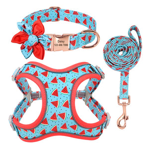 personalisiertes Hundegeschirr Halsband Set