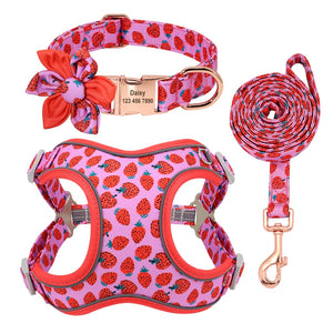 personalisiertes Hundegeschirr Halsband Set