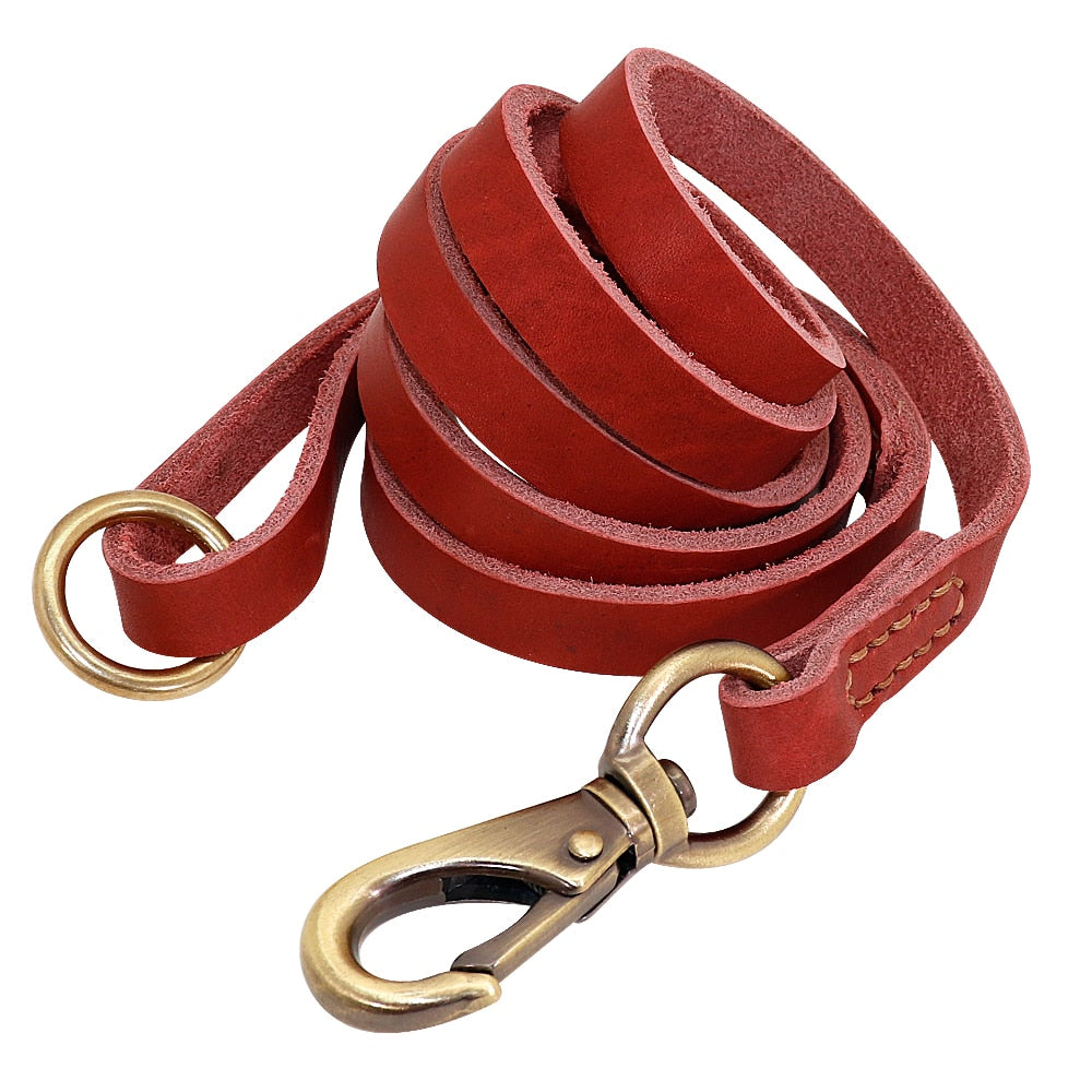 hochwertiges Lederhalsband für alle Hunderassen
