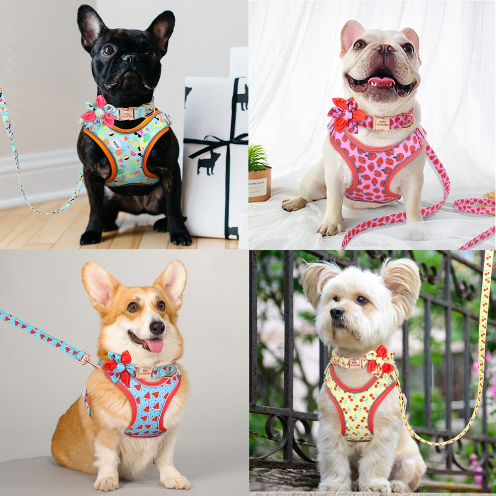 personalisiertes Hundegeschirr Halsband Set