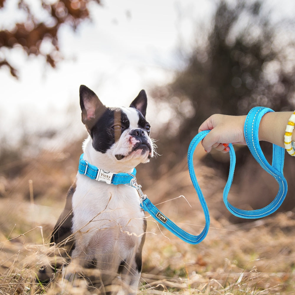 Hundehalsband gepolstert Fleece