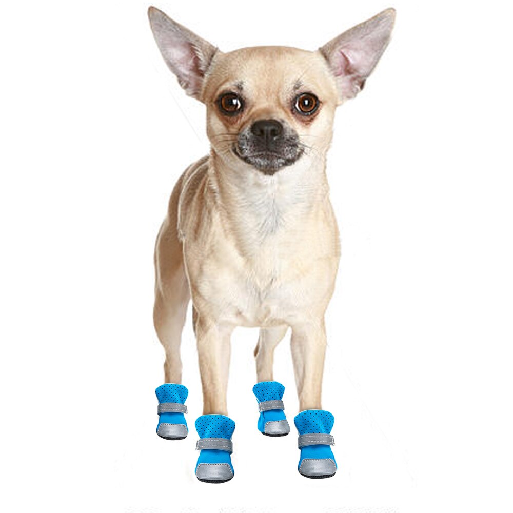 leichte Sommerschuhe für Hunde Pfotenschutz
