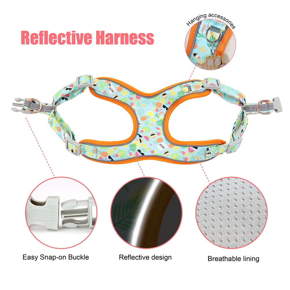 personalisiertes Hundegeschirr Halsband Set