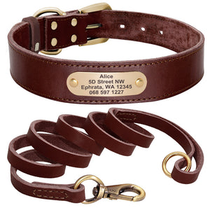 hochwertiges Lederhalsband für alle Hunderassen