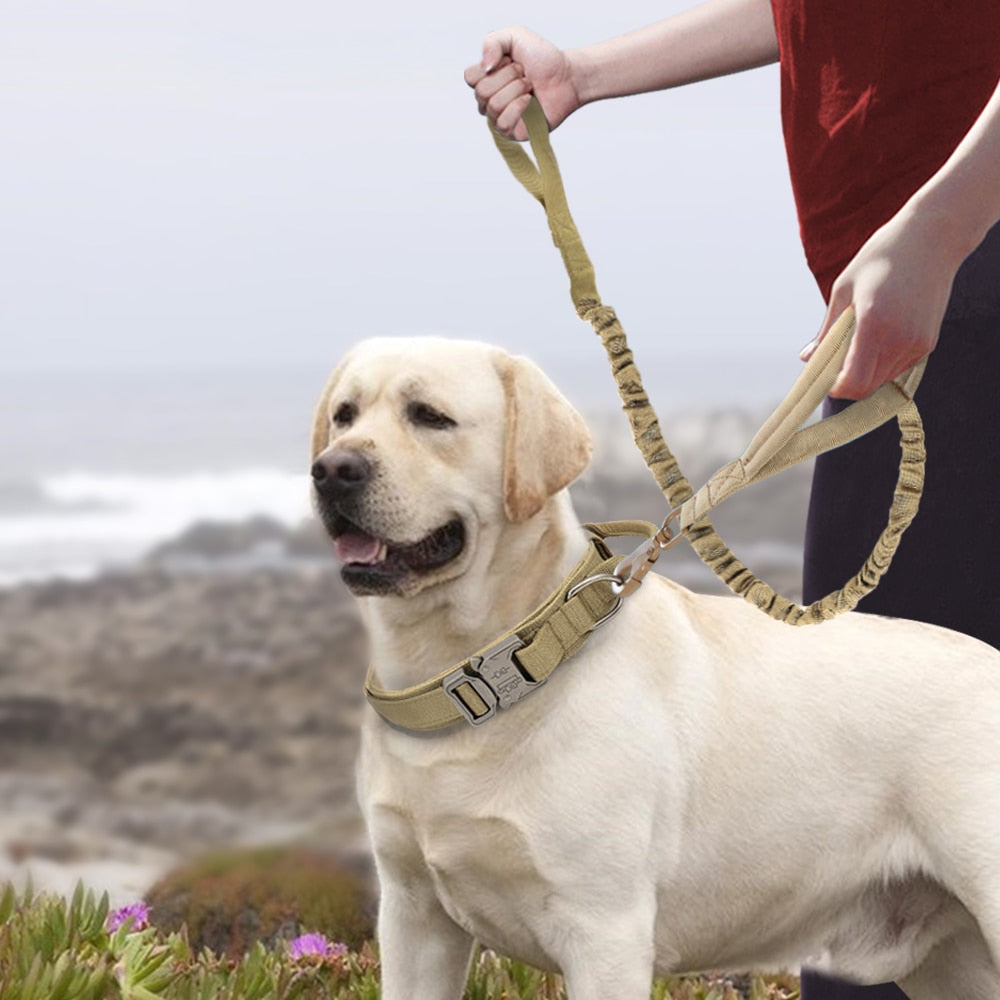Militär-Hundehalsband robustes taktisches Hundehalsband verstellbar Nylon
