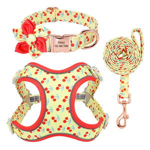 personalisiertes Hundegeschirr Halsband Set