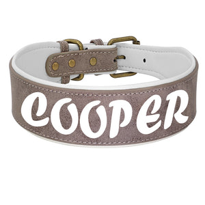 breites Halsband für Hunde