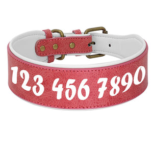 breites Halsband für Hunde