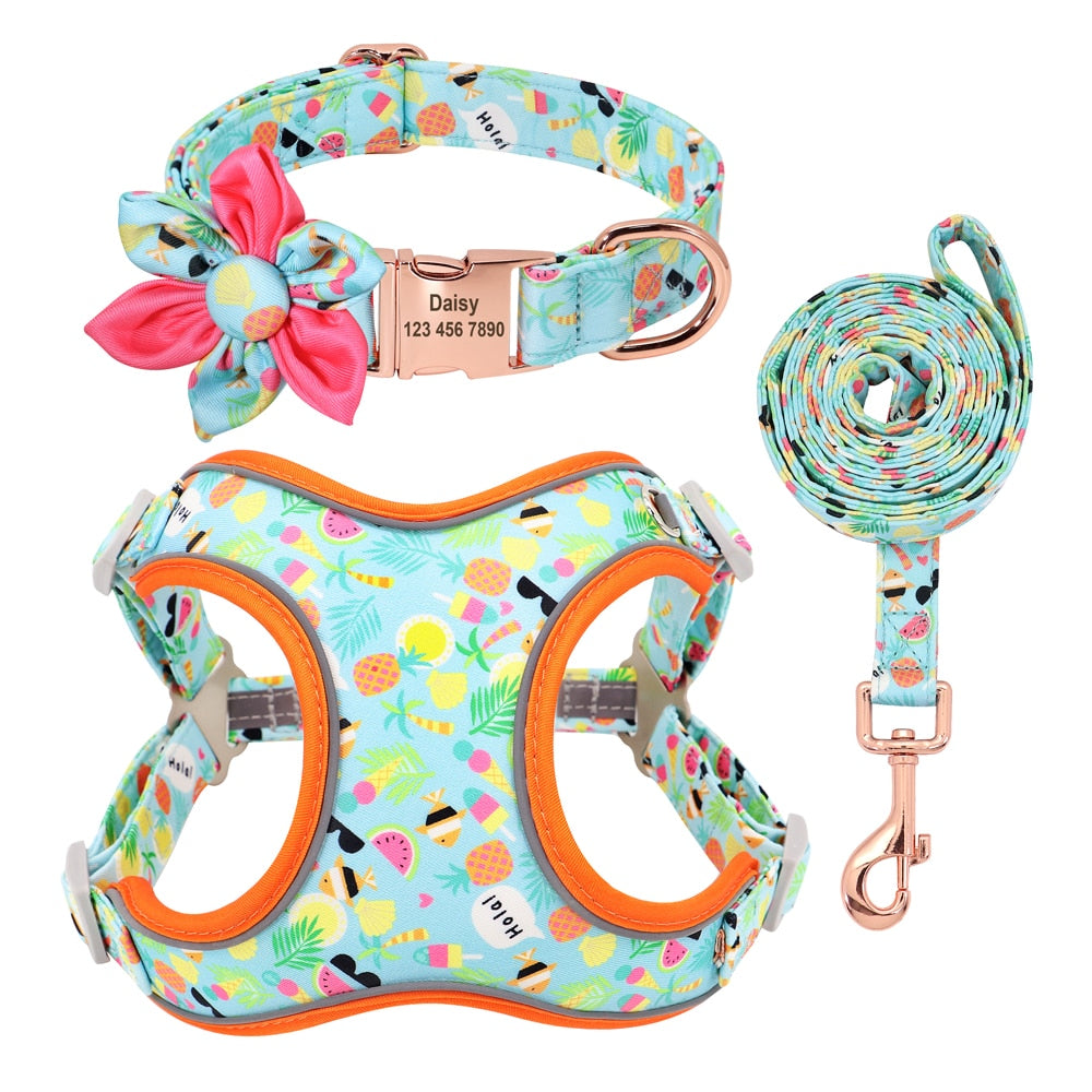 personalisiertes Hundegeschirr Halsband Set