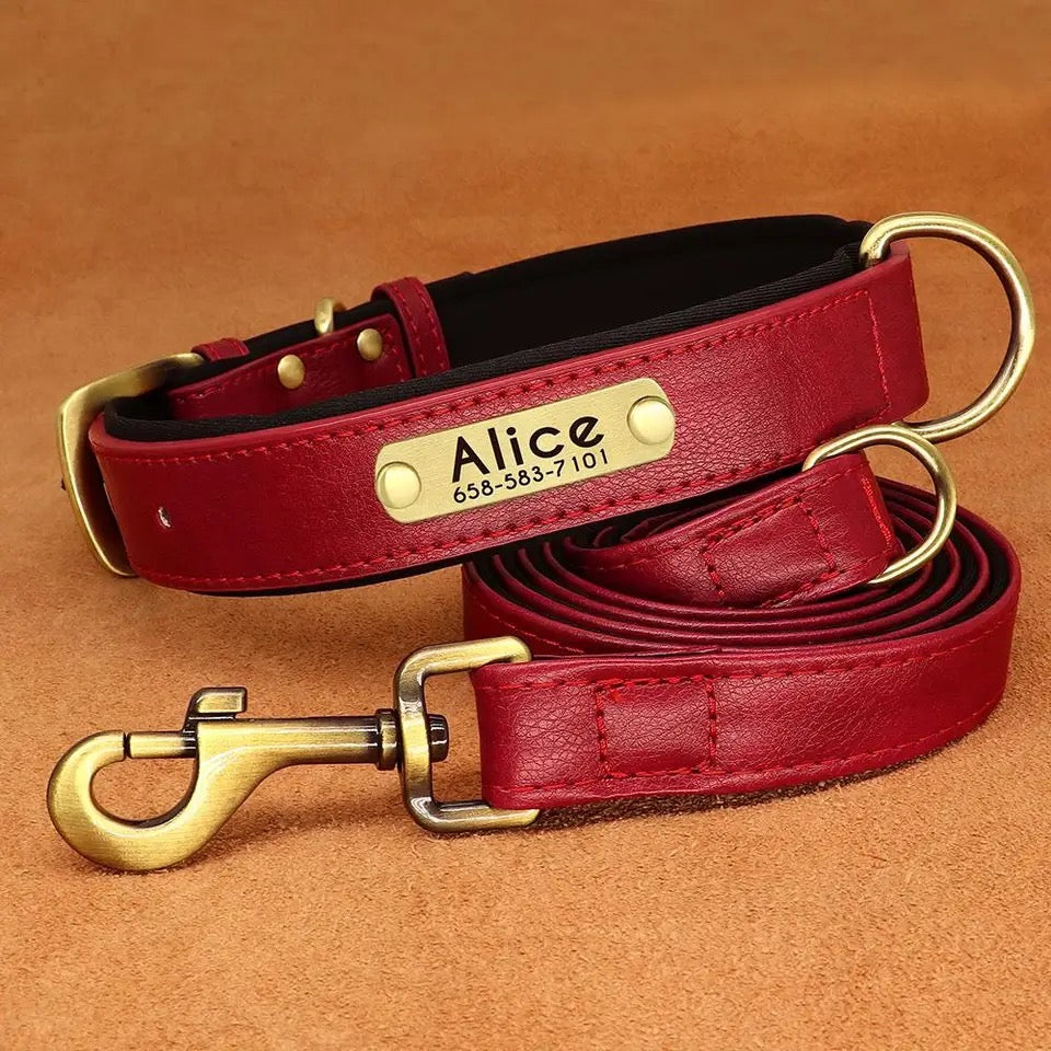 Set Lederhalsband und Leinenset personalisiert