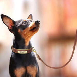 Set Lederhalsband und Leinenset personalisiert