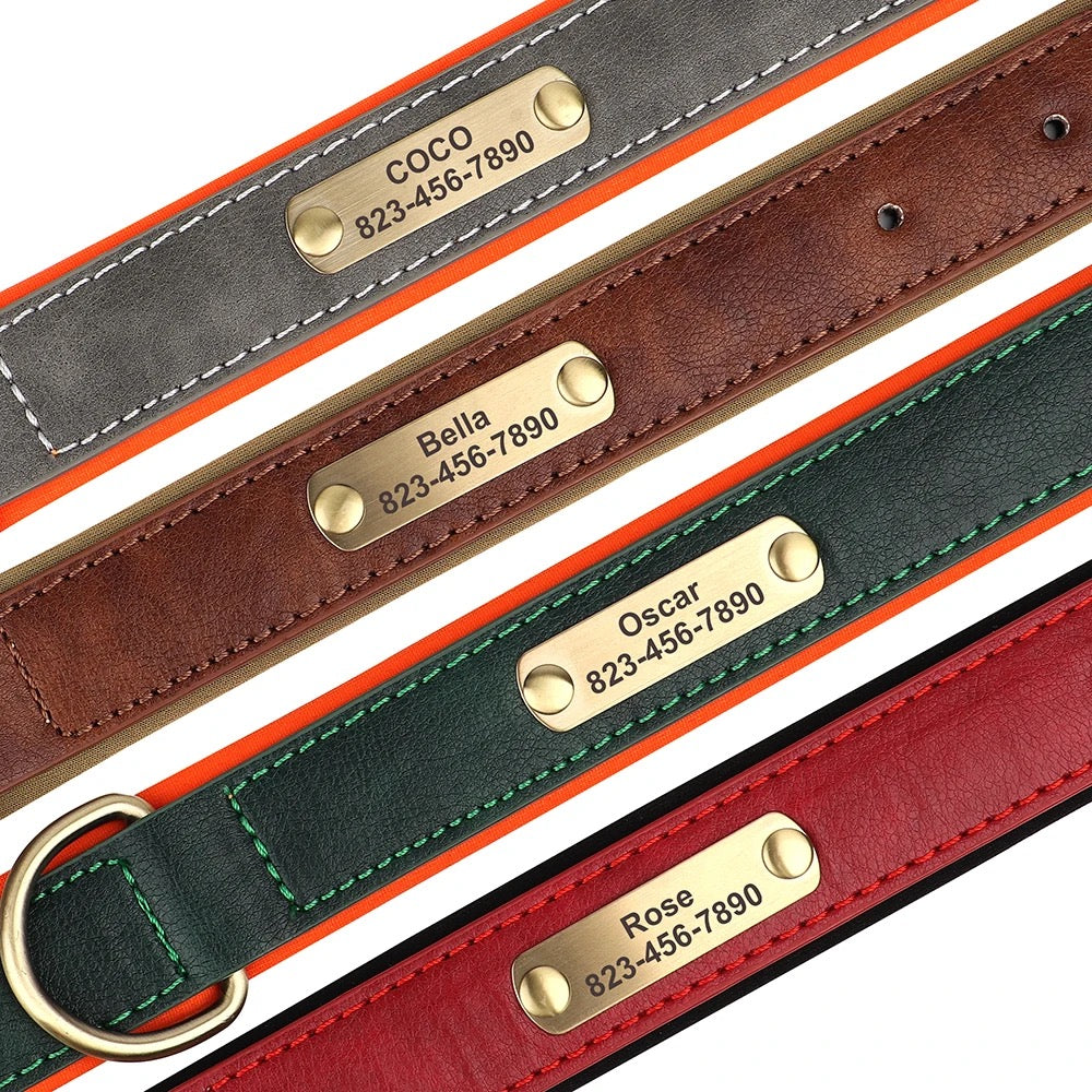 Set Lederhalsband und Leinenset personalisiert