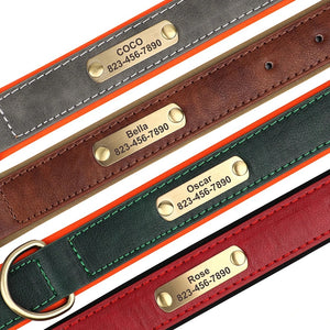 Set Lederhalsband und Leinenset personalisiert