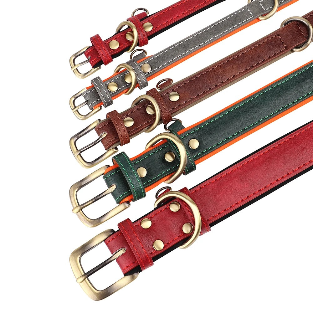 Set Lederhalsband und Leinenset personalisiert