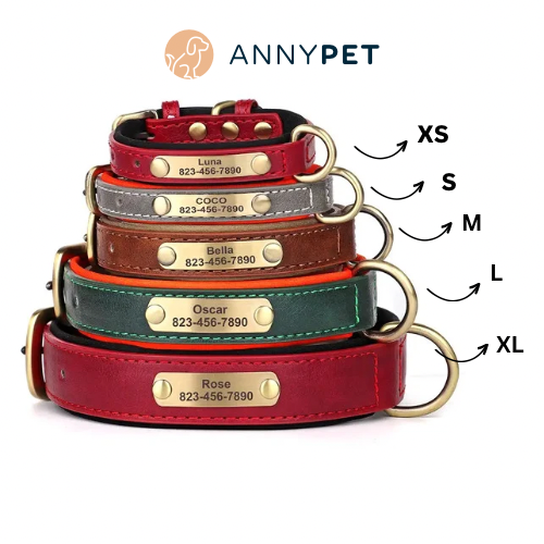 Set Lederhalsband und Leinenset personalisiert