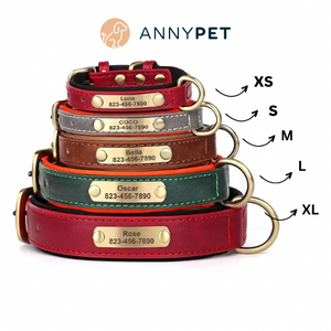 Set Lederhalsband und Leinenset personalisiert