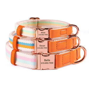 Hunde Halsband rosegold Schnalle persönliche Gravur gewebtes Nylon
