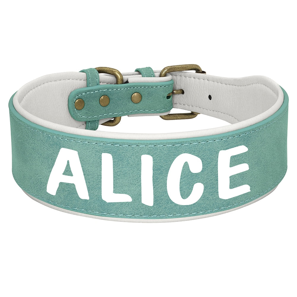 breites Halsband für Hunde