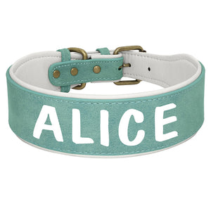breites Halsband für Hunde