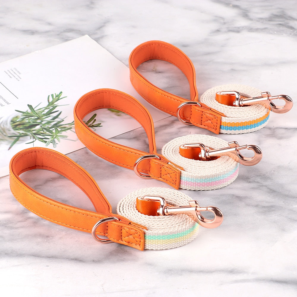 Hunde Halsband rosegold Schnalle persönliche Gravur gewebtes Nylon