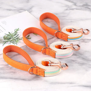 Hunde Halsband rosegold Schnalle persönliche Gravur gewebtes Nylon