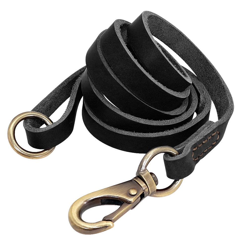 hochwertiges Lederhalsband für alle Hunderassen