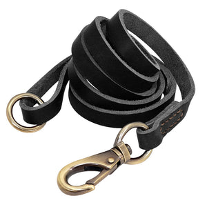 hochwertiges Lederhalsband für alle Hunderassen