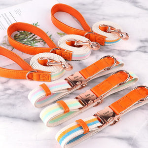 Hunde Halsband rosegold Schnalle persönliche Gravur gewebtes Nylon