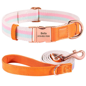 Hunde Halsband rosegold Schnalle persönliche Gravur gewebtes Nylon