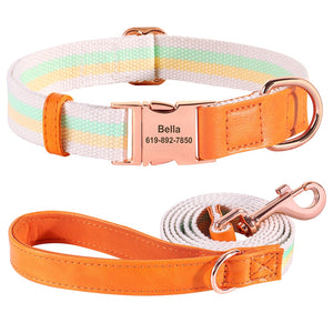 Hunde Halsband rosegold Schnalle persönliche Gravur gewebtes Nylon
