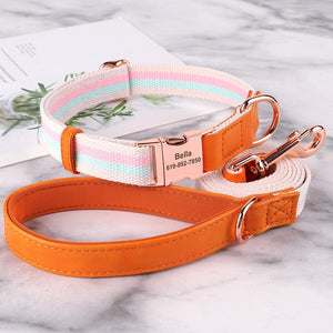 Hunde Halsband rosegold Schnalle persönliche Gravur gewebtes Nylon