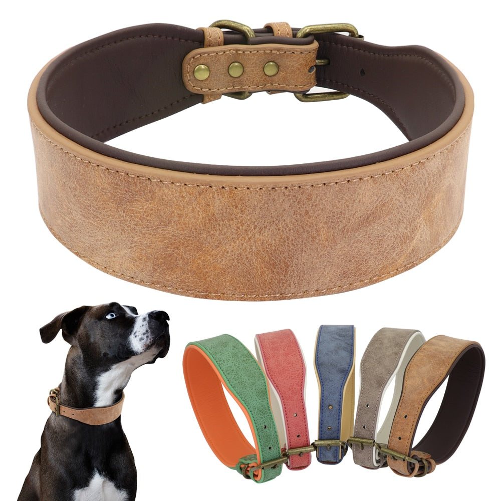 weites Halsband für Windhunde große Kräftige Hunde