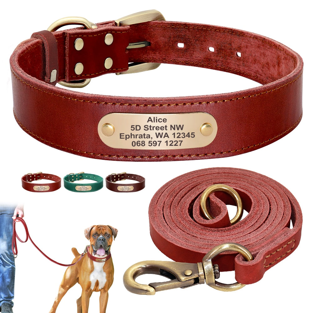 hochwertiges Lederhalsband für alle Hunderassen