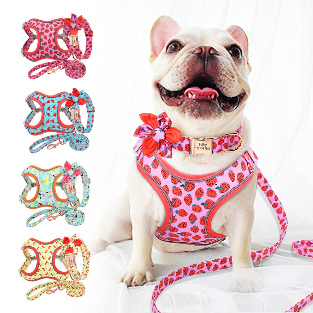 personalisiertes Hundegeschirr Halsband Set