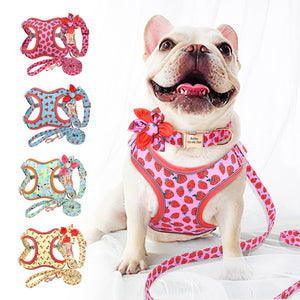 personalisiertes Hundegeschirr Halsband Set