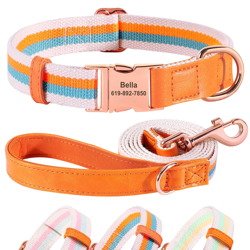 Hunde Halsband rosegold Schnalle persönliche Gravur gewebtes Nylon