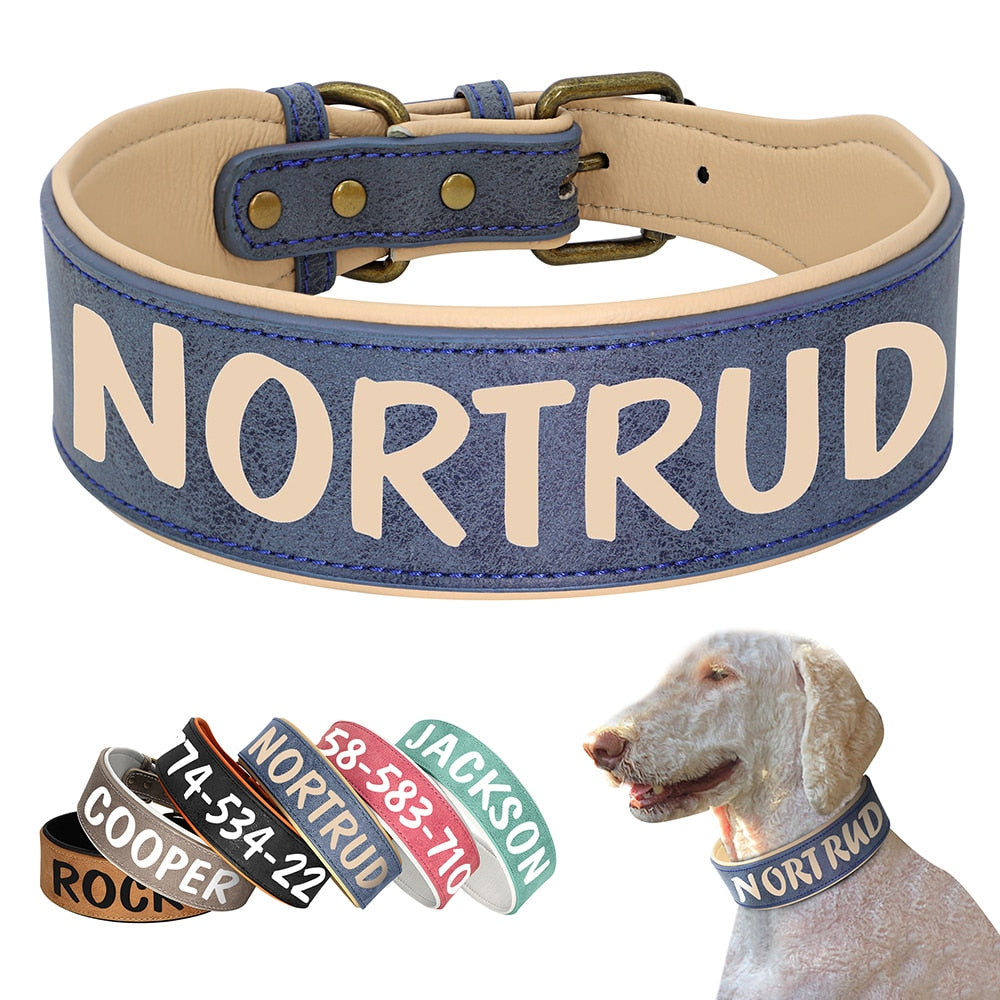breites Halsband für Hunde