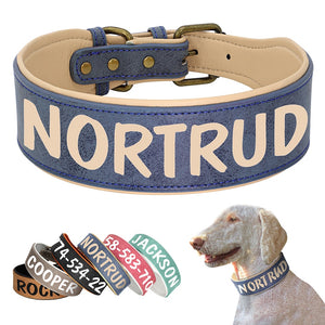 breites Halsband für Hunde