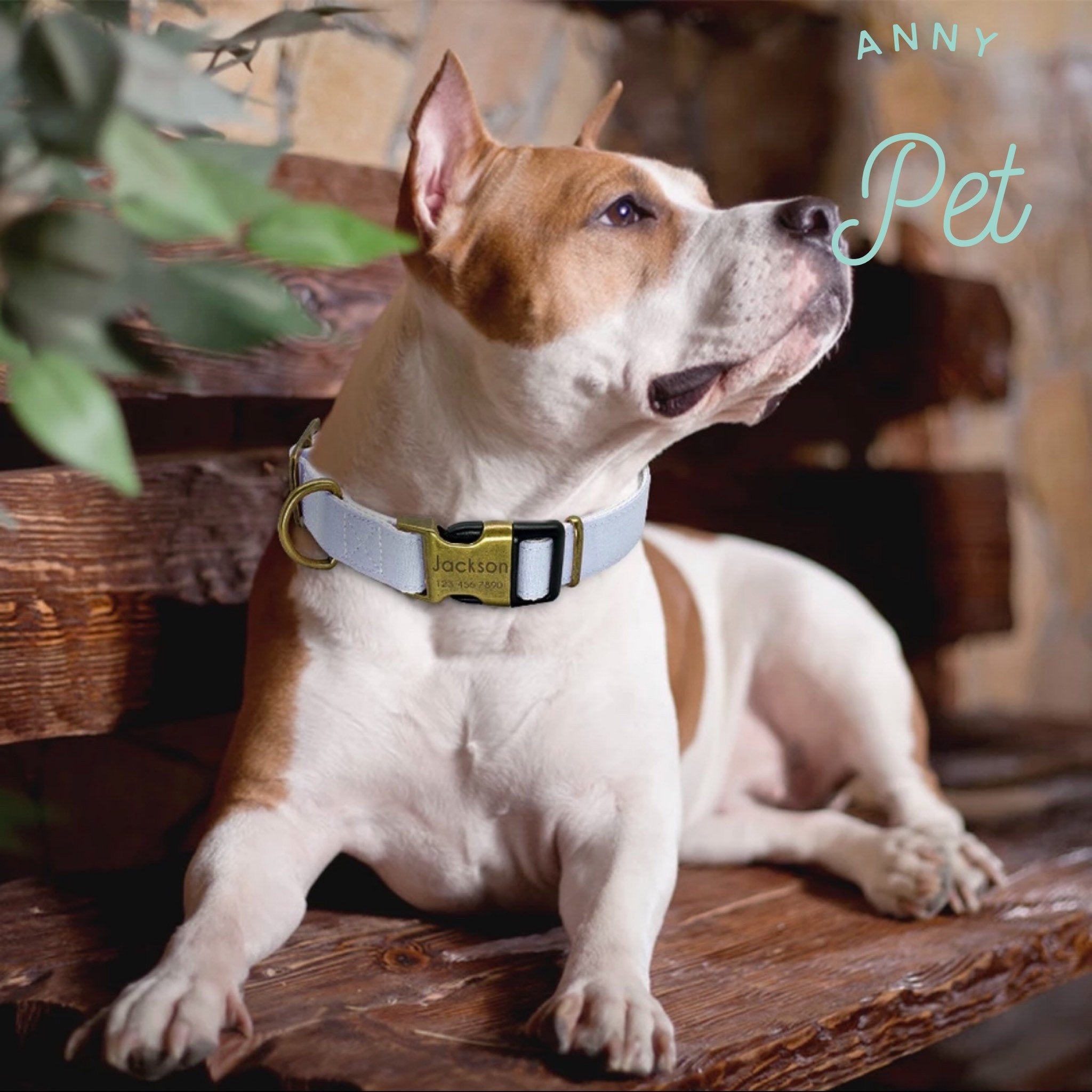 Hundehalsband Vintage Schließe bronze antik