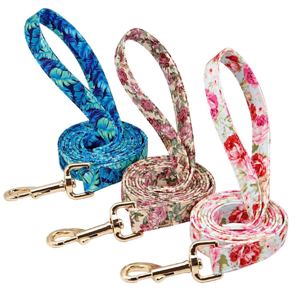 Hundeleine zu Halsband Hundehalsband Goldene Schnalle personalisiert Name Telefonnummer Gold
