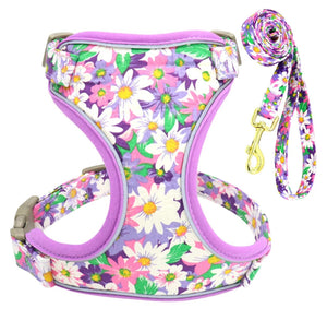 Set Hundegeschirr Brustgurt Blumen Design